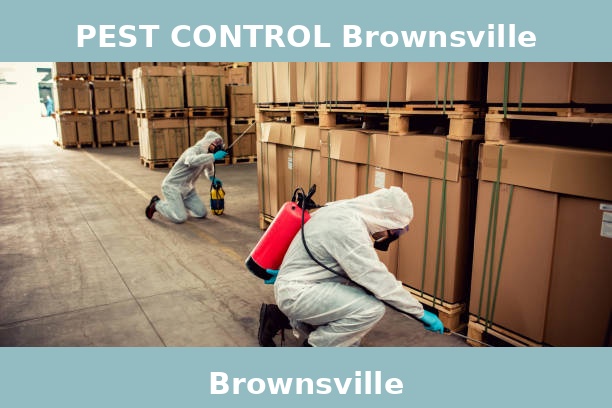 PEST CONTROL Brownsville